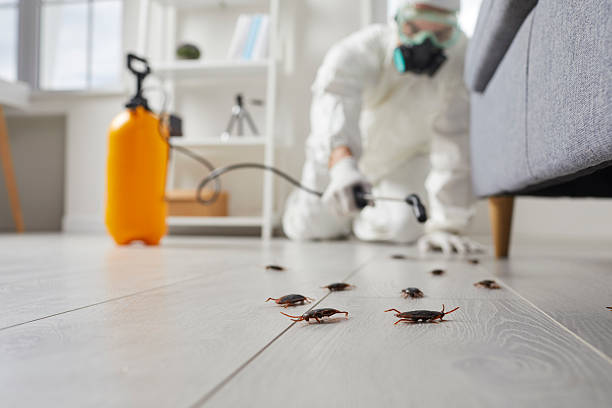 Commercial Kitchen Cockroach Control in Selah